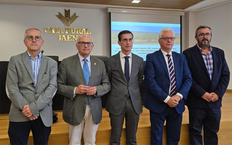informe catedra caja rural de jaen