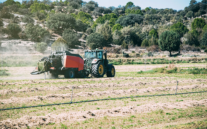 valor explotación agraria
